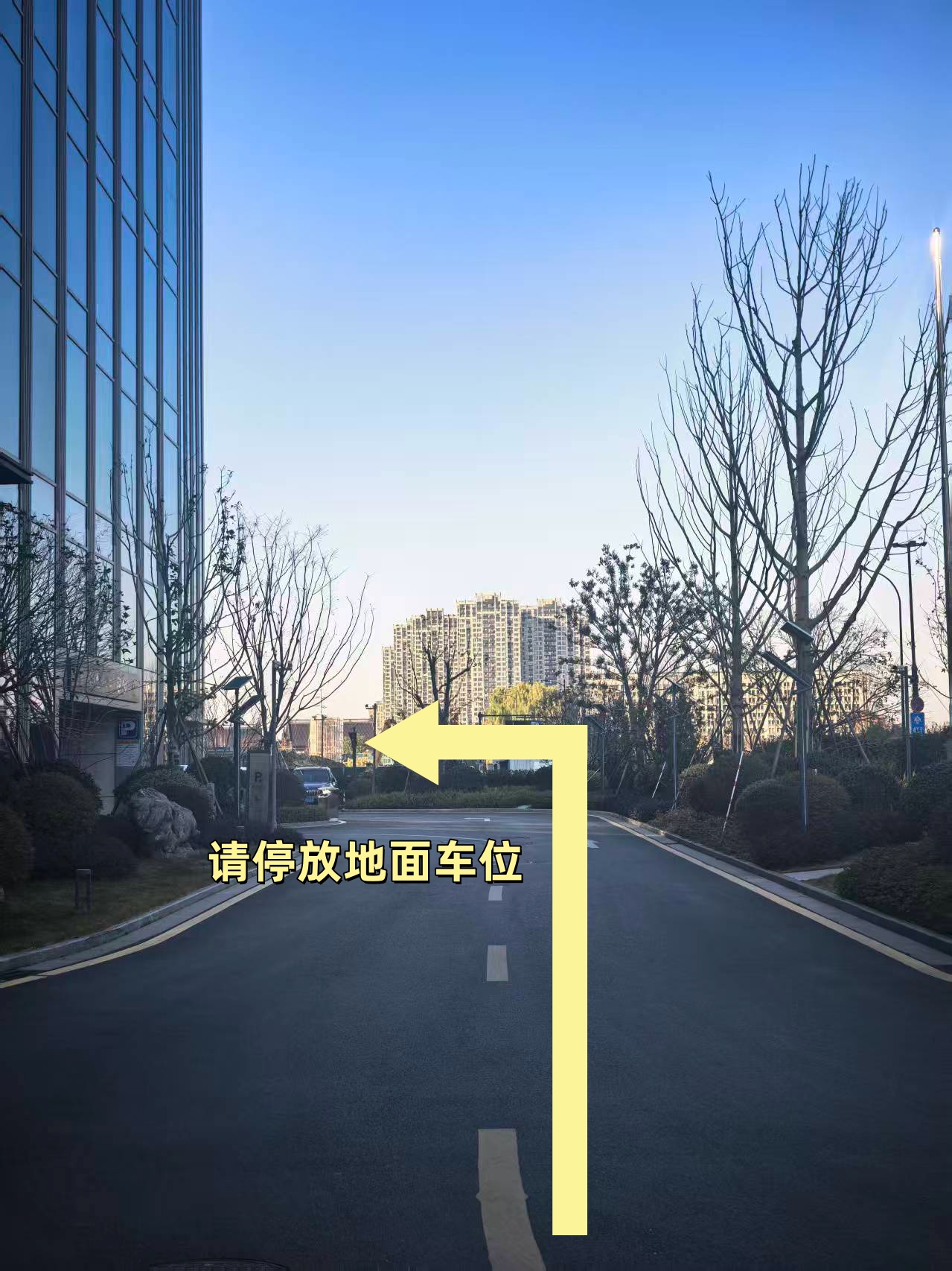 园区内停车位方向示意